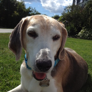 Michael & Lisa Grandchamp